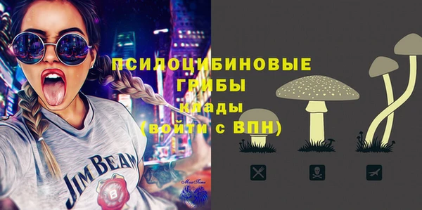 apvp Михайлов