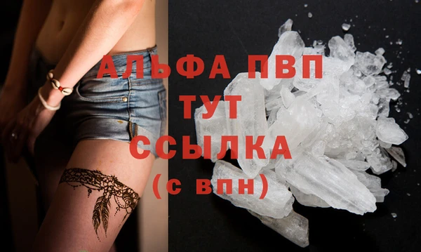 стаф Михайловск