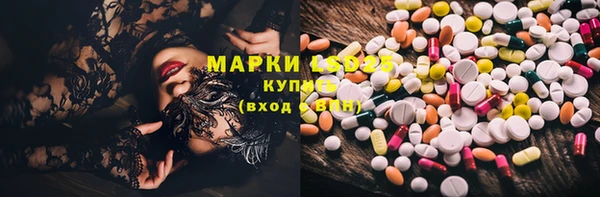 стаф Михайловск