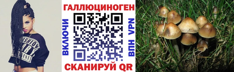 OMG рабочий сайт  Ковылкино  Псилоцибиновые грибы MAGIC MUSHROOMS  закладки 